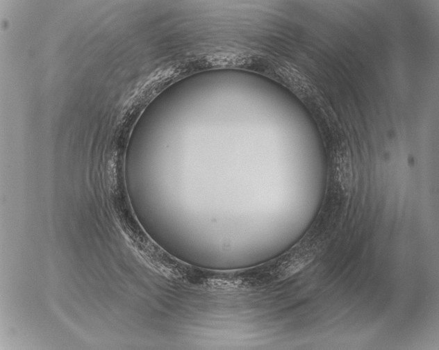 X0000052980690200507221328