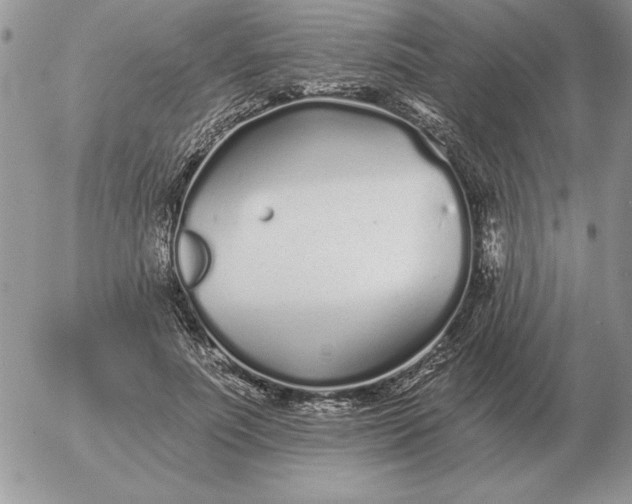 X0000052980691200507221328