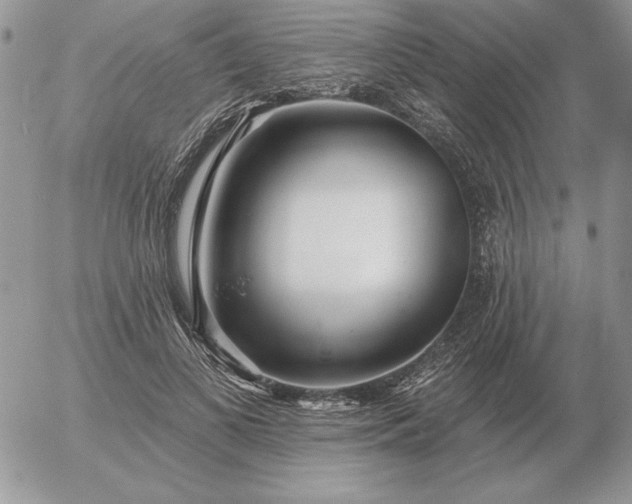 X0000052980693200507221328