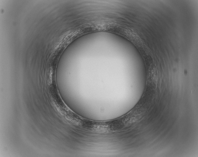 X0000052980694200507221328