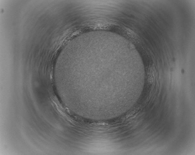 X0000052980695200507221328