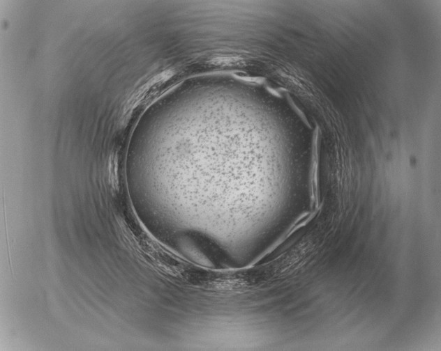 X0000052980696200507221328