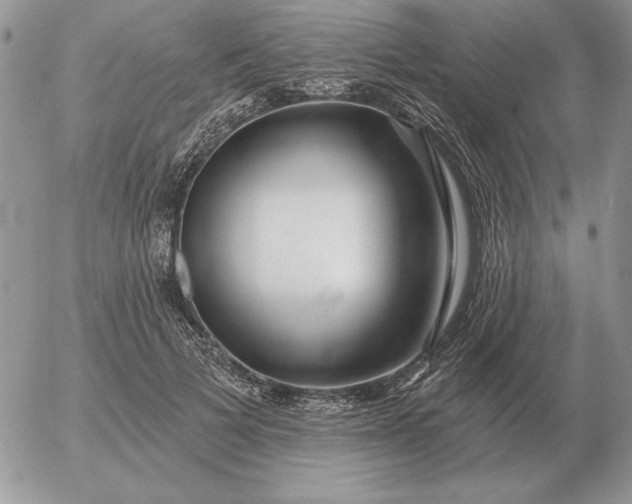 X0000052980697200507221328