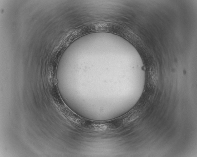 X0000052980698200507221328