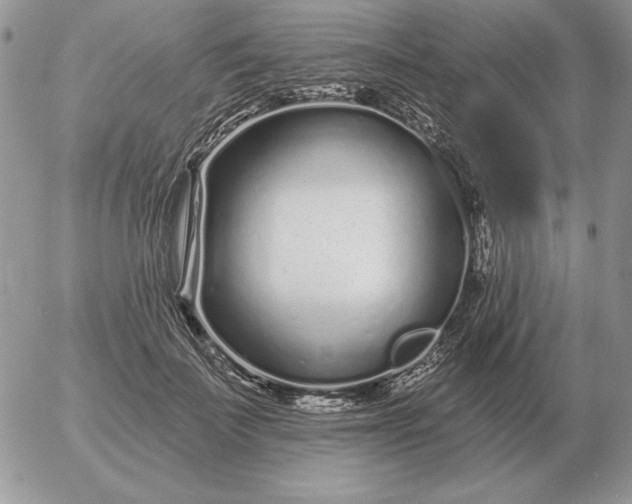 X0000052980699200507221328