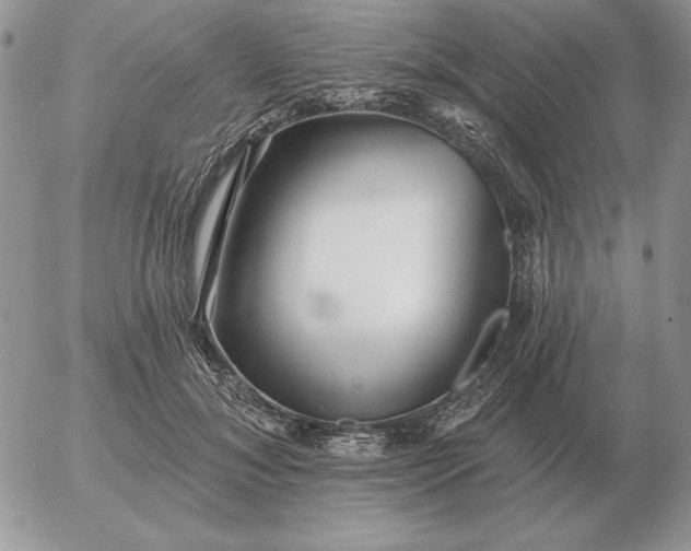 X0000052980700200507221328