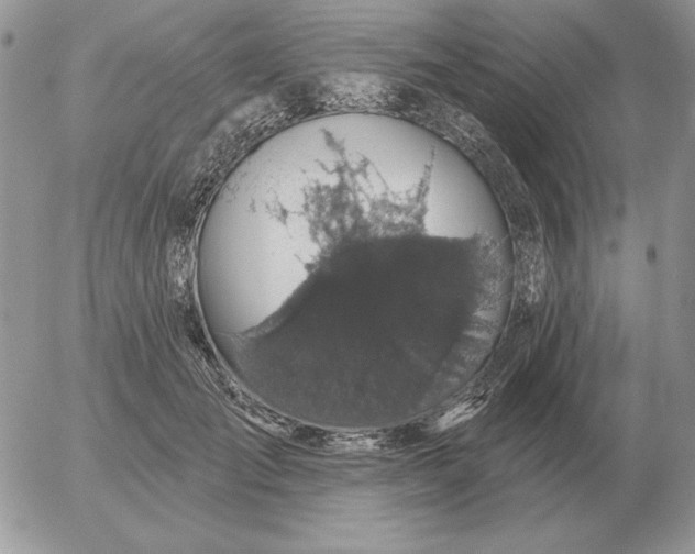 X0000052980701200507221328