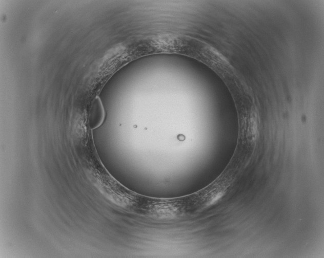 X0000052980702200507221328