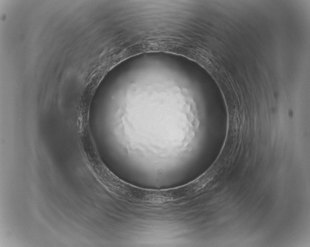 X0000052980703200507221328