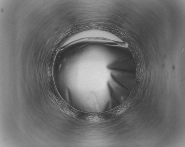 X0000052980704200507221328