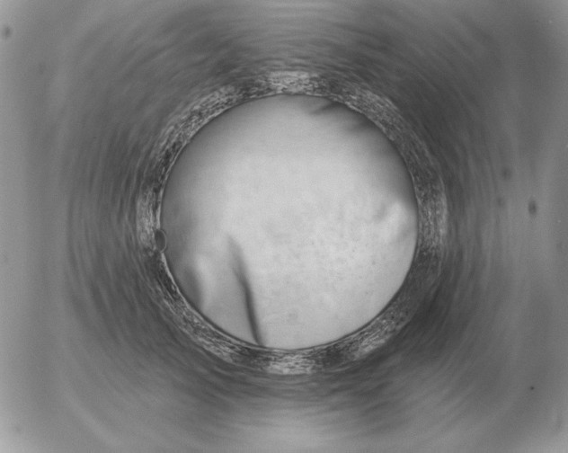 X0000052980705200507221328