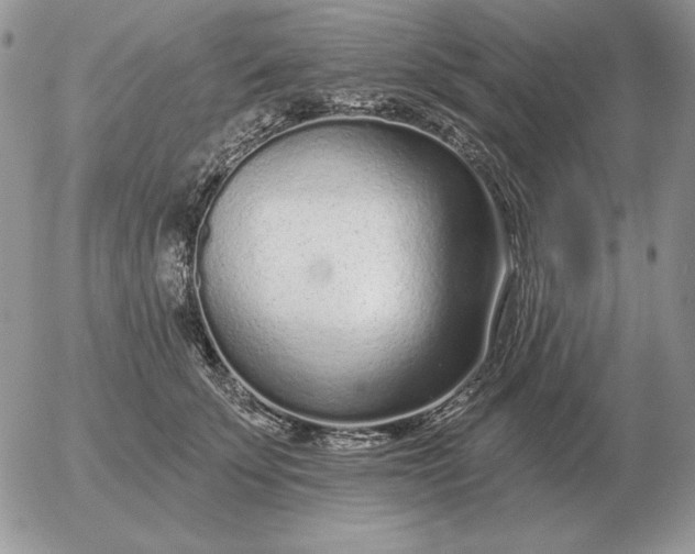 X0000052980707200507221328