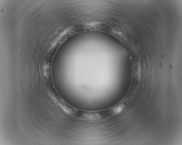 X0000052980712200507221328