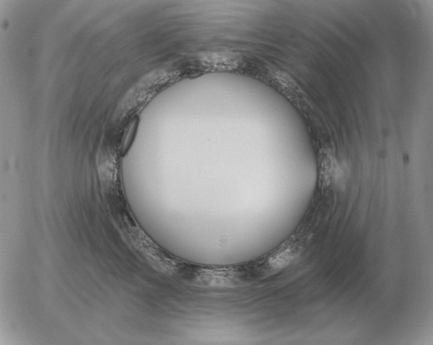 X0000052980713200507221328