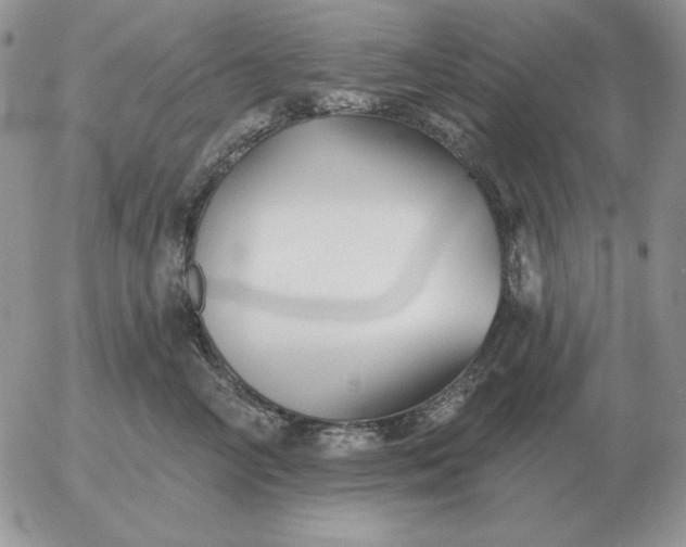 X0000052980714200507221328