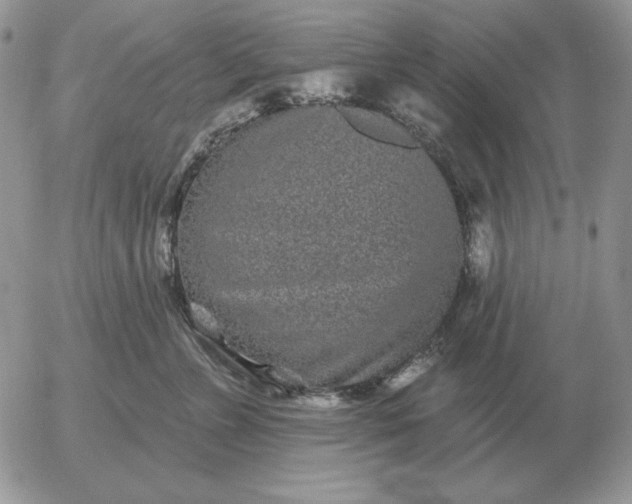 X0000052980715200507221327