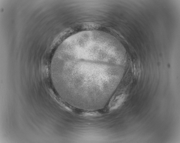 X0000052980716200507221327