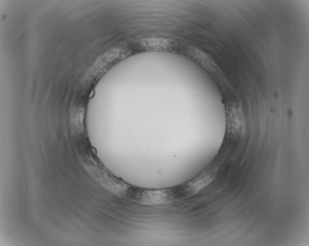 X0000052980717200507221327