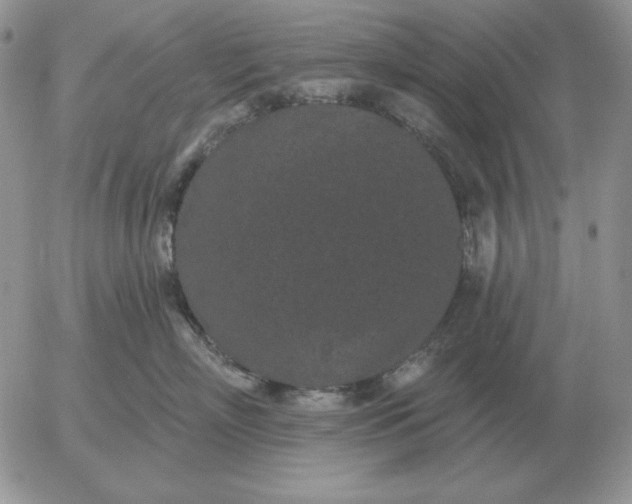 X0000052980718200507221327