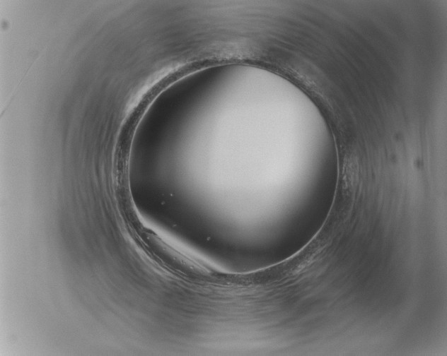 X0000052980722200507221327