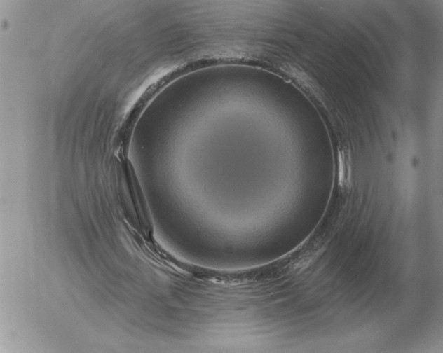 X0000052980723200507221327