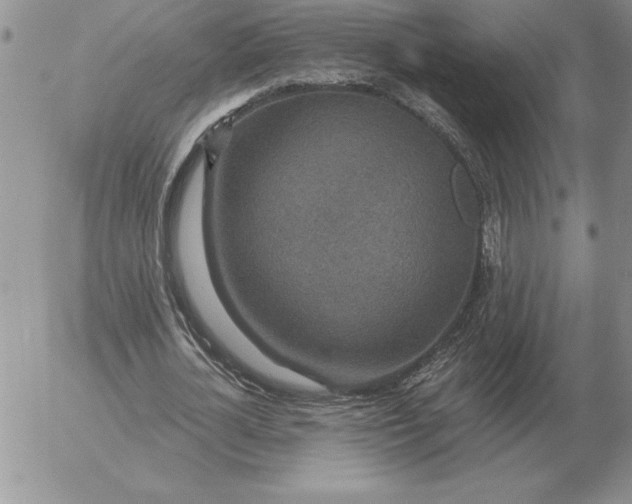 X0000052980724200507221327