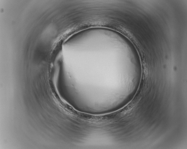 X0000052980725200507221327