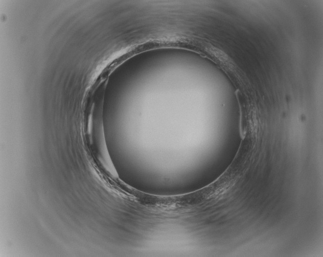 X0000052980728200507221327