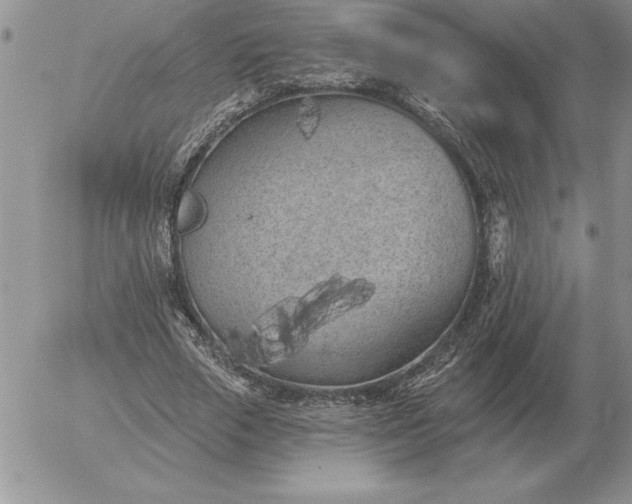 X0000052980729200507221327