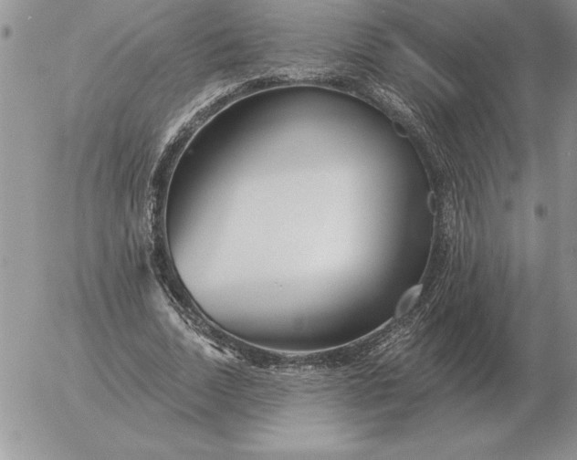 X0000052980730200507221327