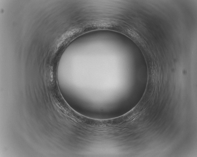 X0000052980731200507221327