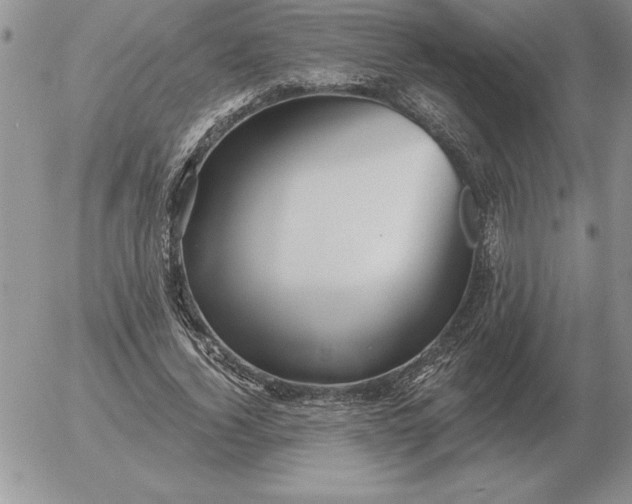 X0000052980732200507221327