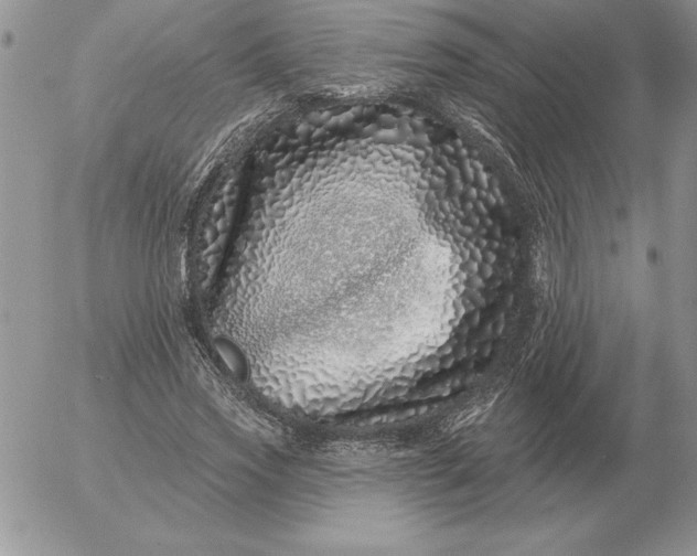 X0000052980733200507221327