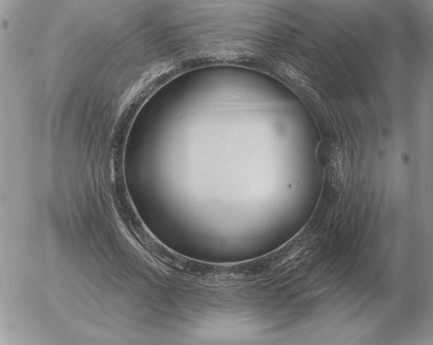 X0000052980734200507221327