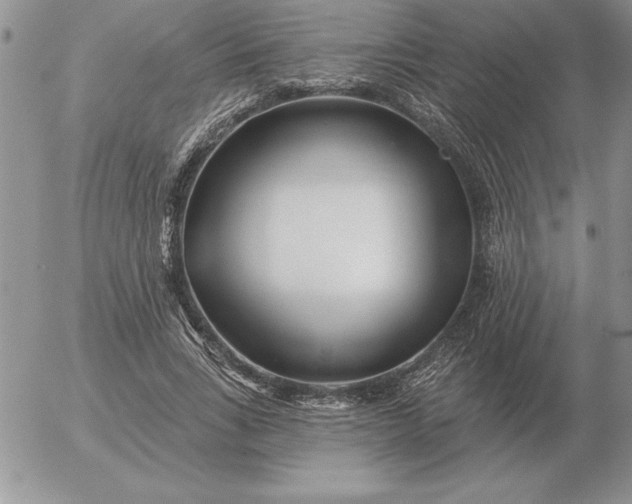 X0000052980735200507221327