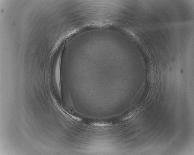 X0000052980736200507221327