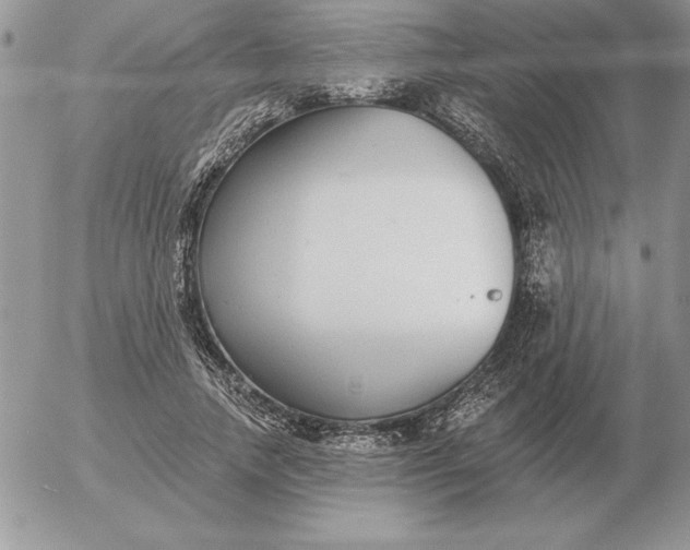 X0000052980738200507221327