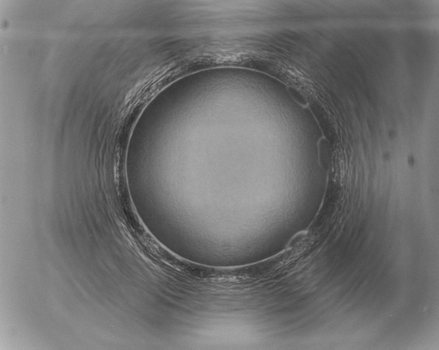 X0000052980740200507221327