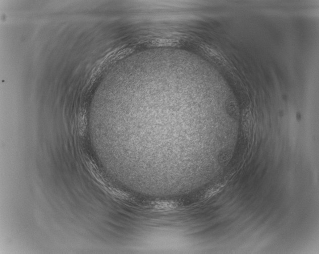 X0000052980741200507221327