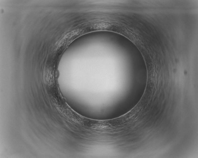 X0000052980743200507221327