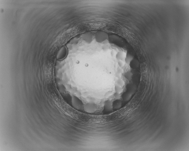 X0000052980745200507221327