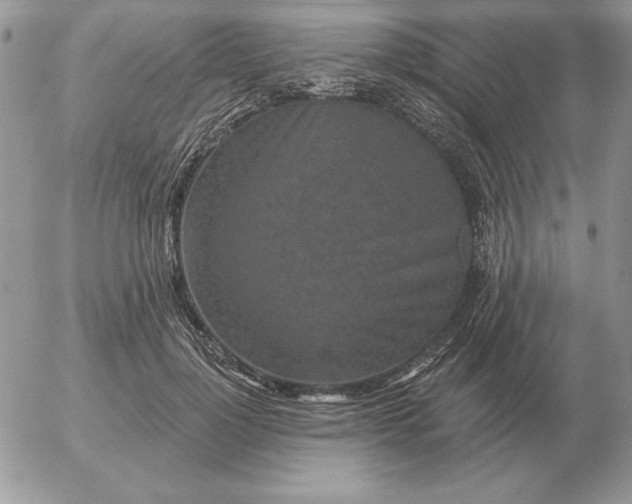 X0000052980748200507221327