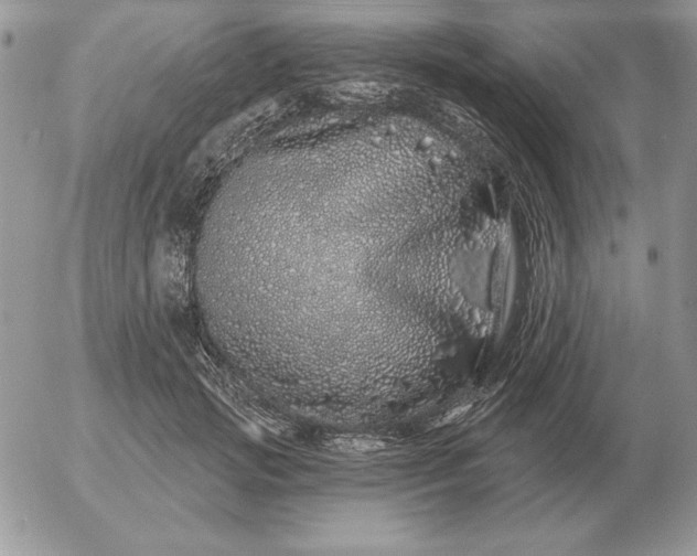 X0000052980749200507221327