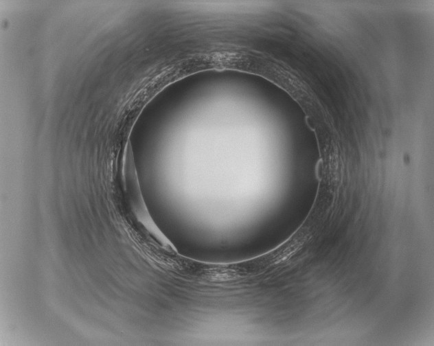 X0000052980750200507221327