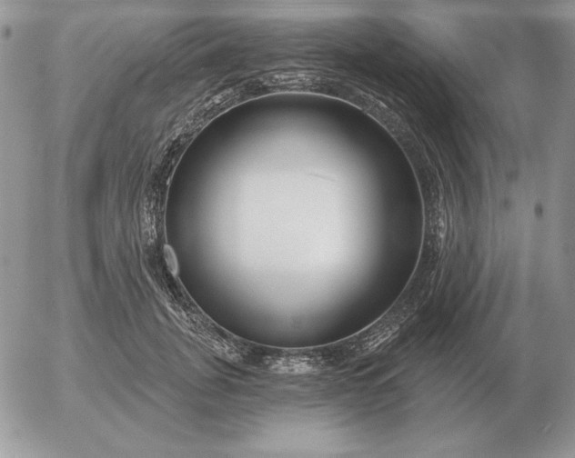 X0000052980751200507221327