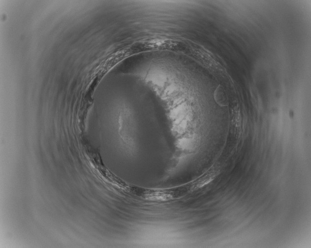 X0000052980754200507221327