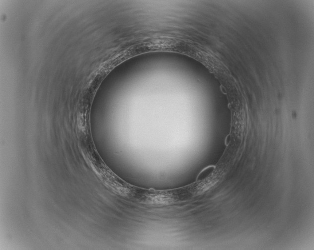 X0000052980755200507221327