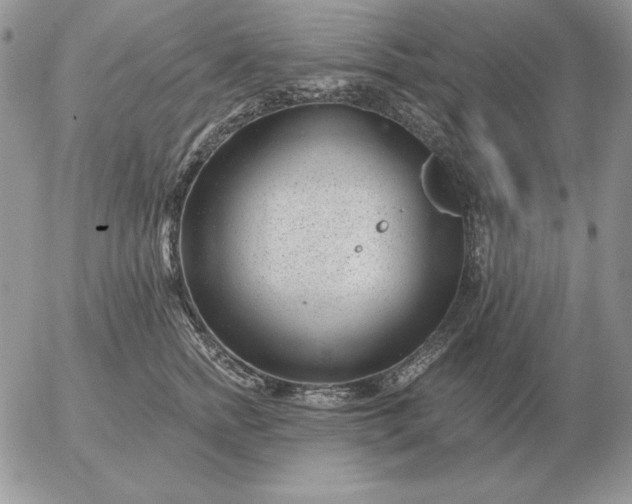 X0000052980758200507221327