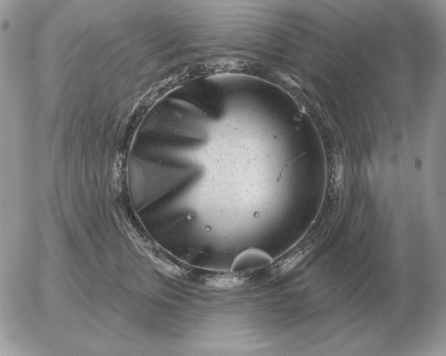 X0000052980759200507221327