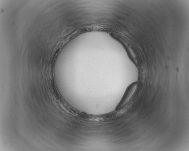 X0000052980760200507221327